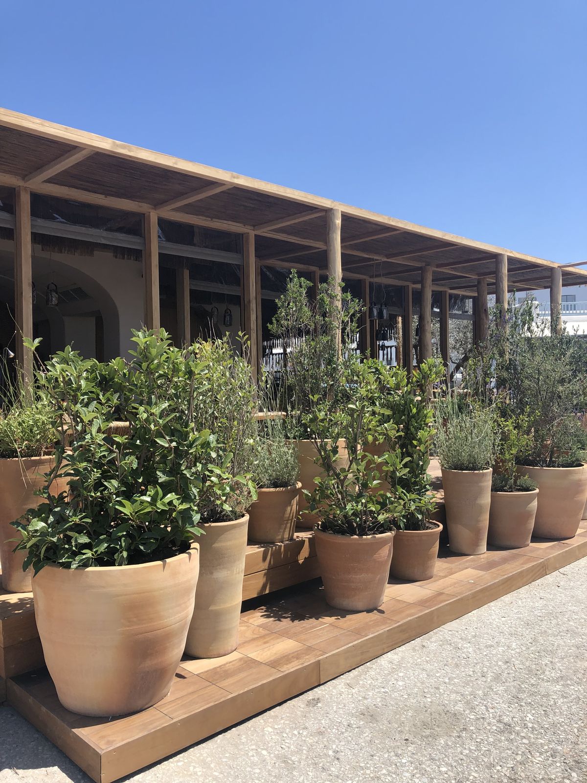 Vivero y huerto